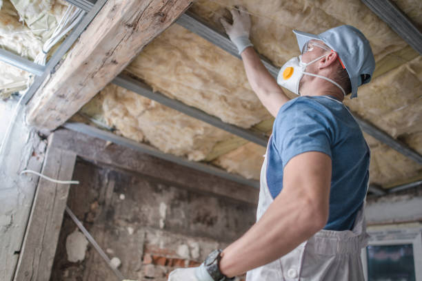 Best Insulation Maintenance and Repair in Johnsburg, IL